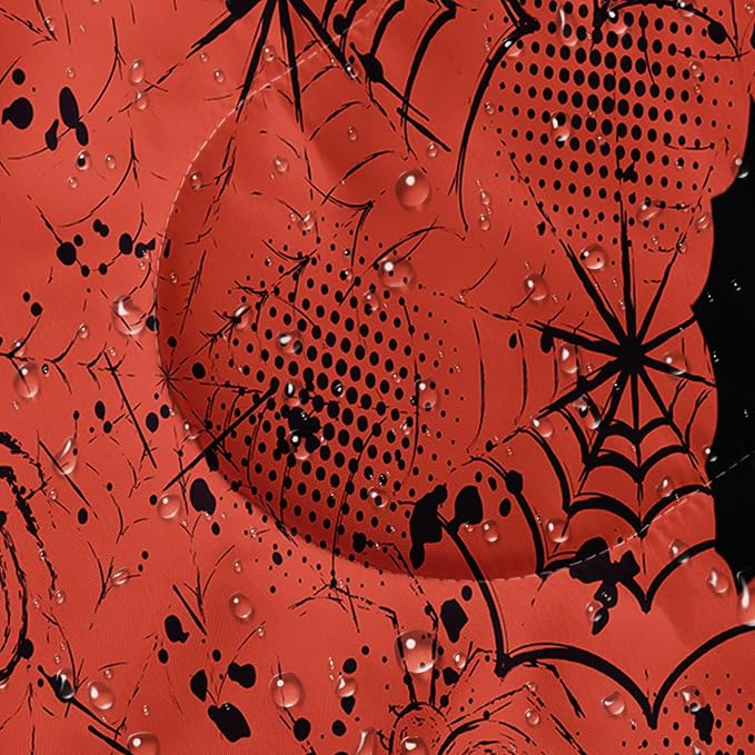 Spider Web