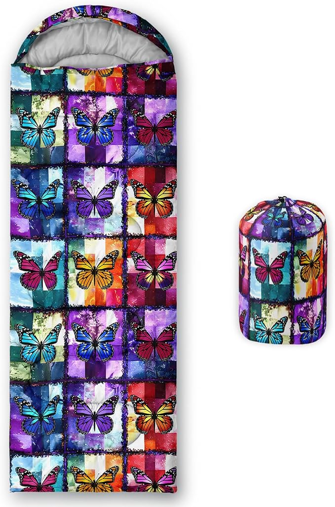 Colorful Butterfly 30