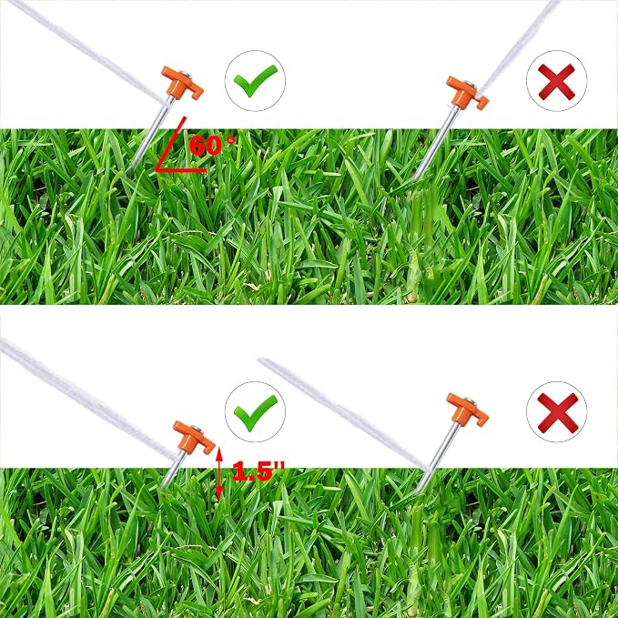 Orange 10pcs