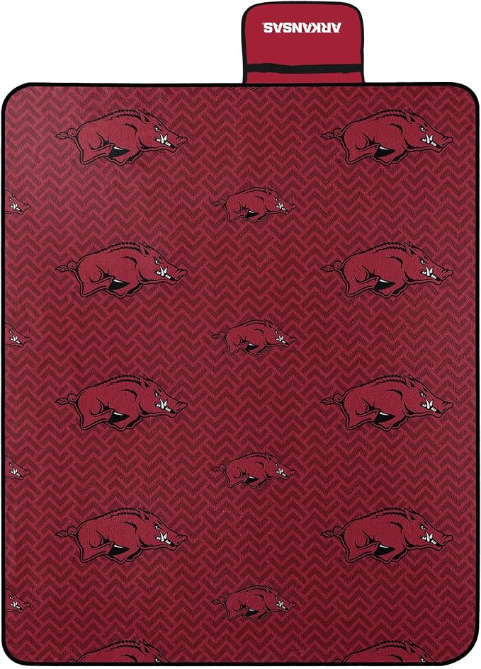 University of Arkansas Razorbacks