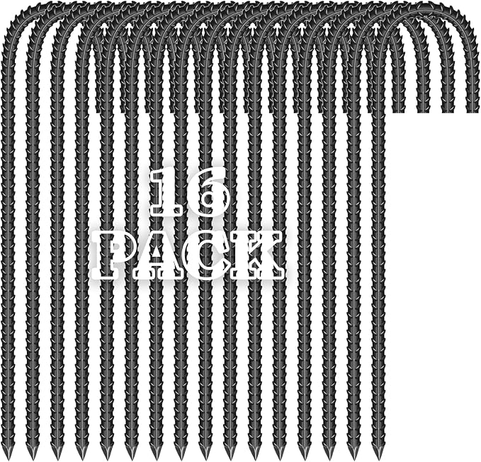16PCS