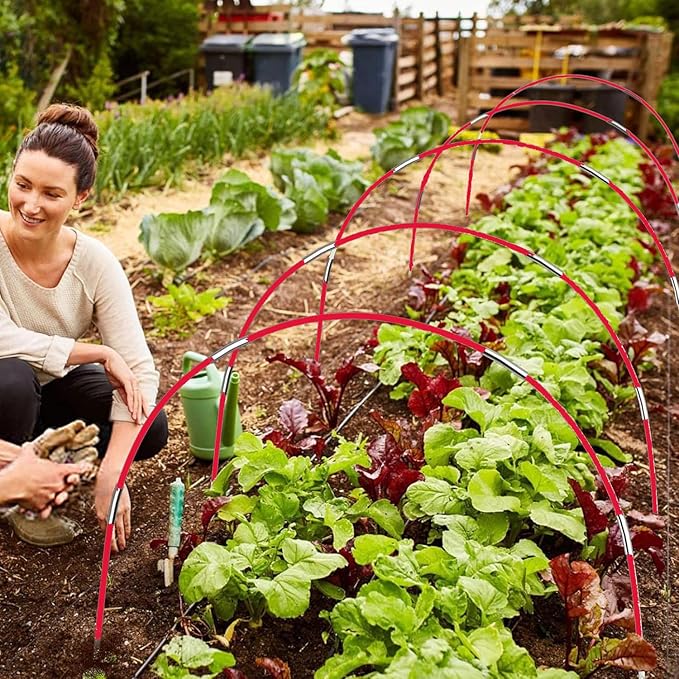 17 inches- 36 packs( red )