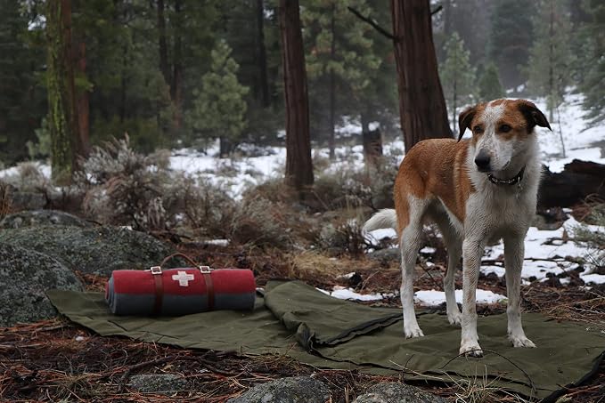 Forest Green Bedroll