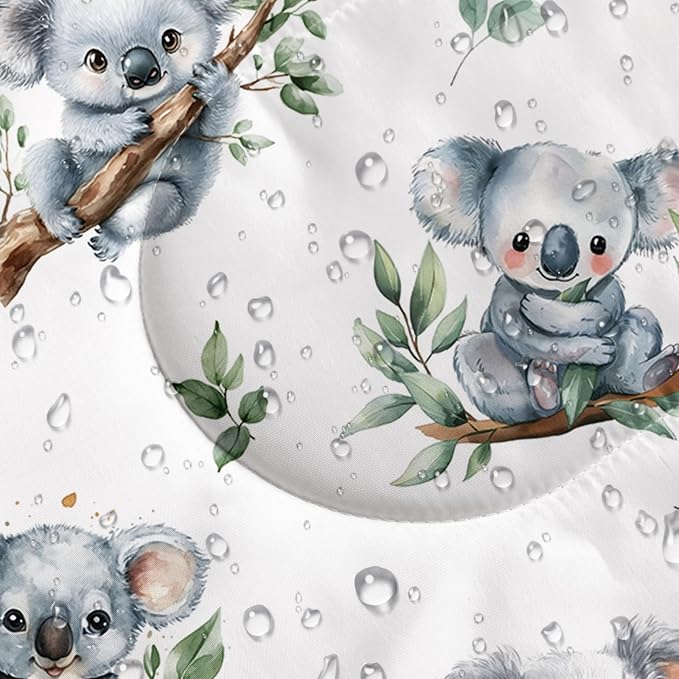 Koala4