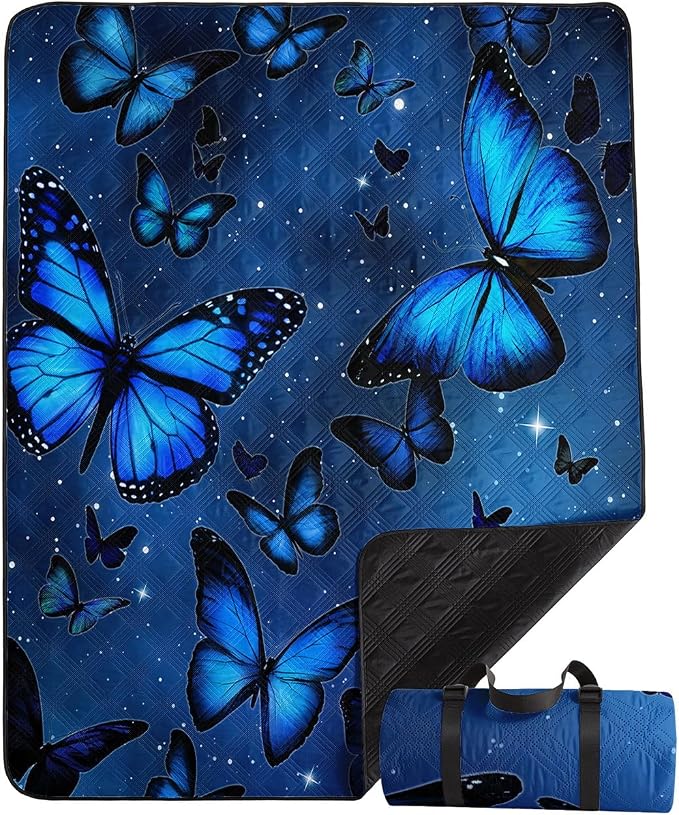 Cartoon Butterfly