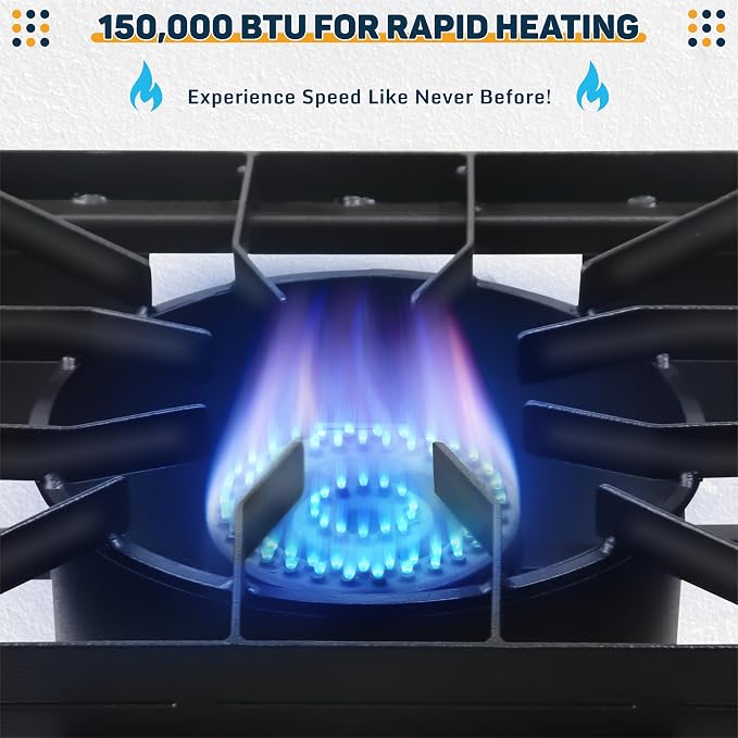 Two Burner Stove