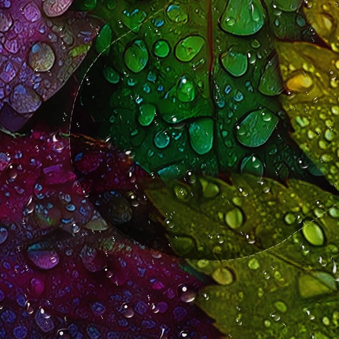 Maple Leaf 6