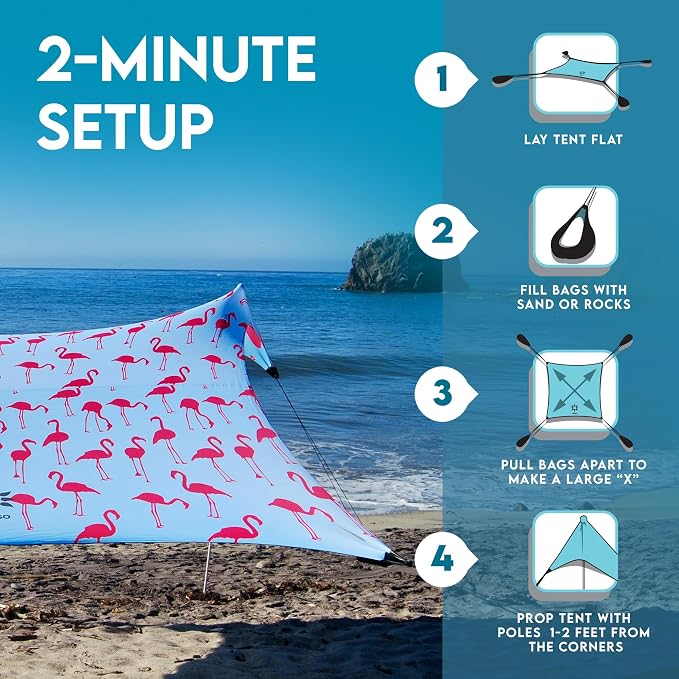 Flamingos