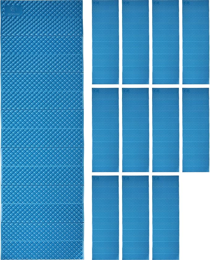 Royal Blue x 12