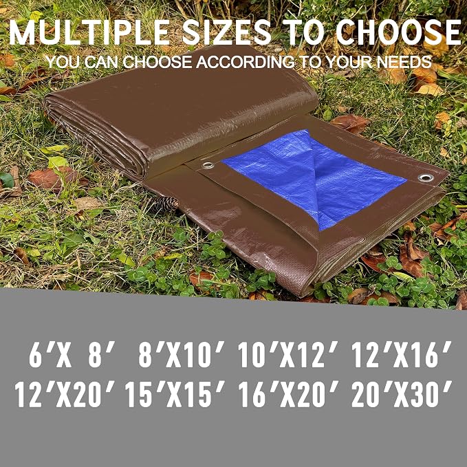 Brown/Blue