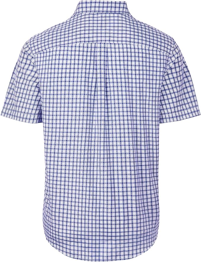 Blue Gingham