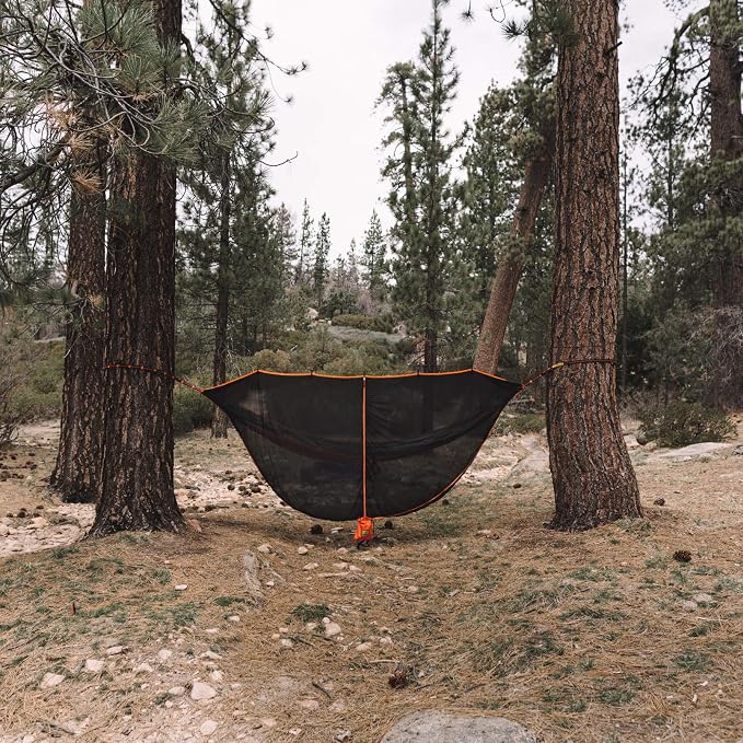 Black/Orange