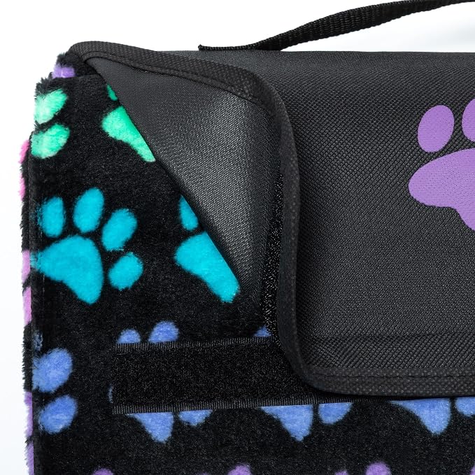 Rainbow Paws