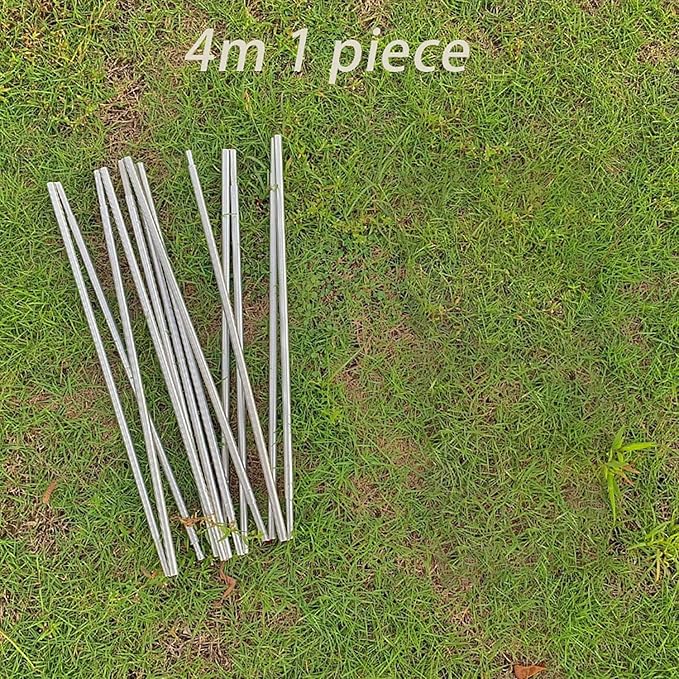 1 Pole