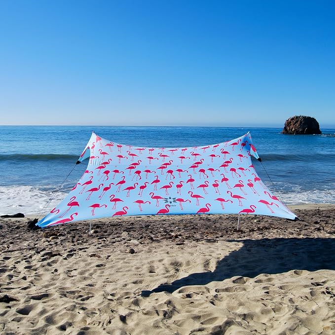 Flamingos