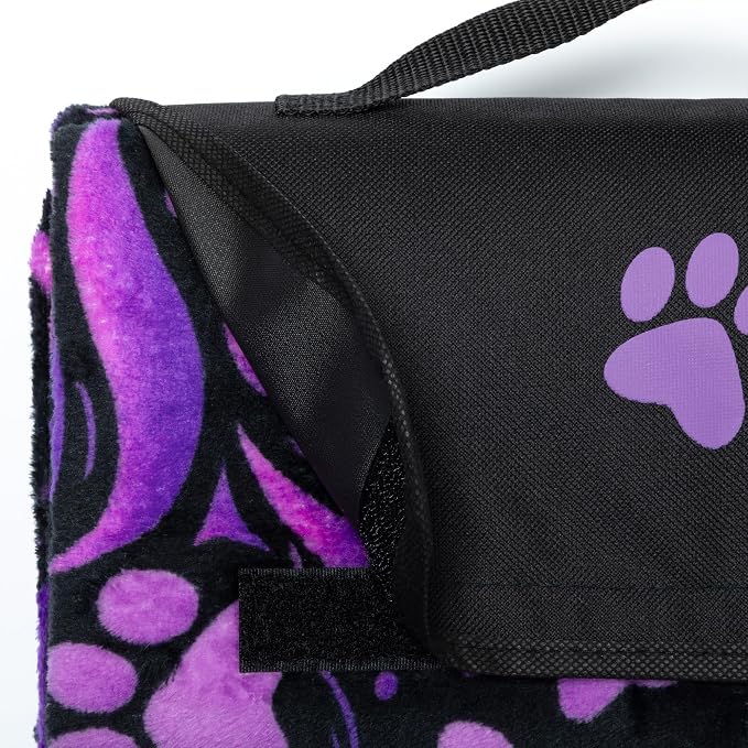 Purple Paw Symphony