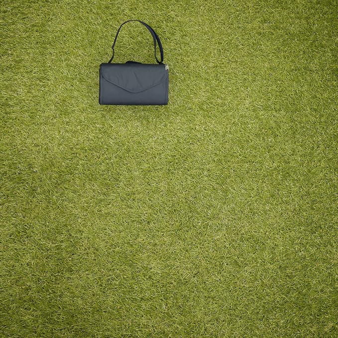 Chroma Rugby Stripe